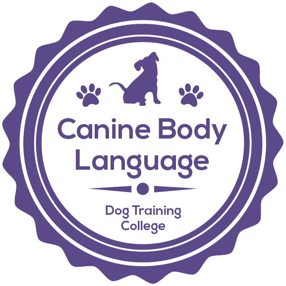 Qualifications and Experience – Talk To The Hound Dog Training & Behaviour